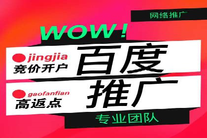 某电商平台信息流广告的精准推广策略